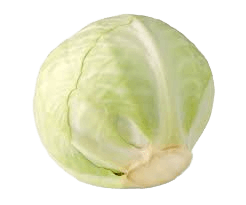 cabbage
