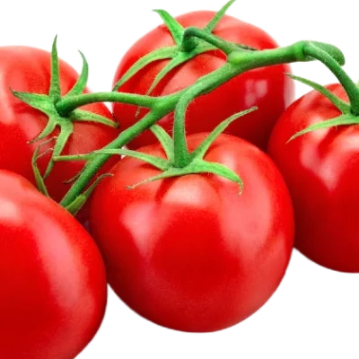 tomatoes