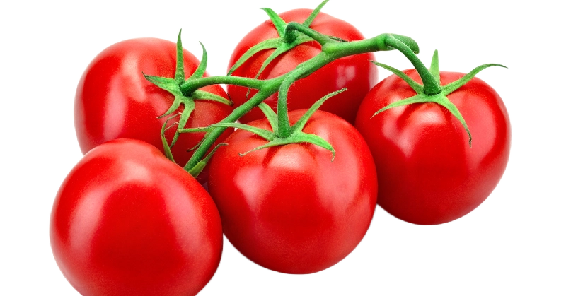 tomatoes