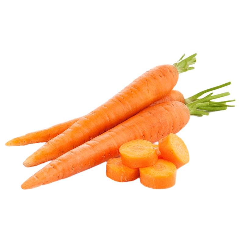 carrot